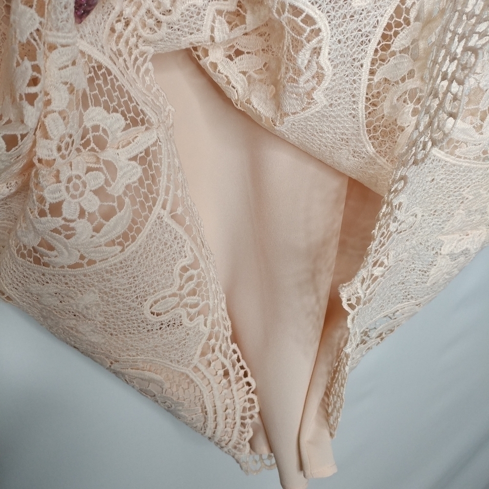 Zara Nude Pink Lace Dress - Picture 10 of 14